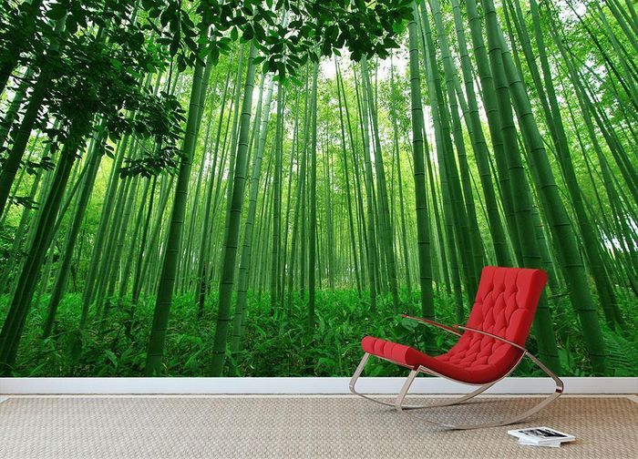 Green bamboo forest wallpaper wall decor